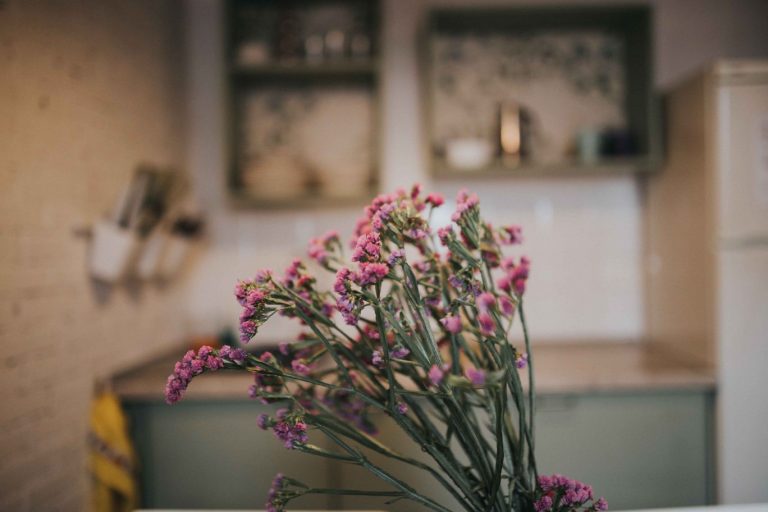 WhatsApp Image 2020 06 16 at 12.19.23 768x512