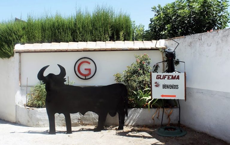 049632D1 07DE 424C 8525 9D41FDBA2628 768x483