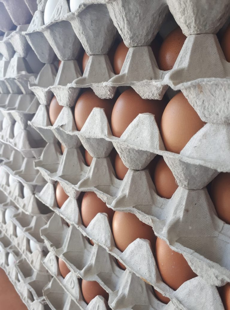 65656859 827742017611047 812470343384956928 n 768x1032