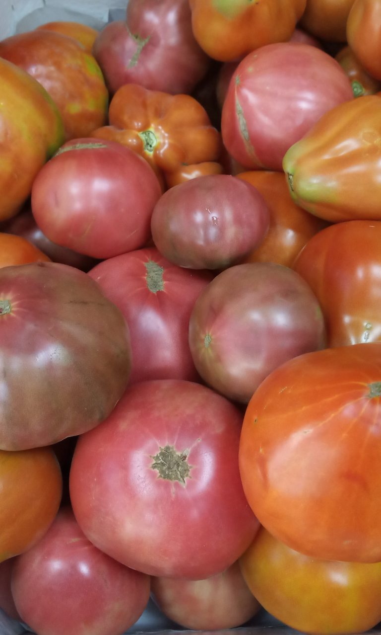 IMG 20190801 095729 768x1278