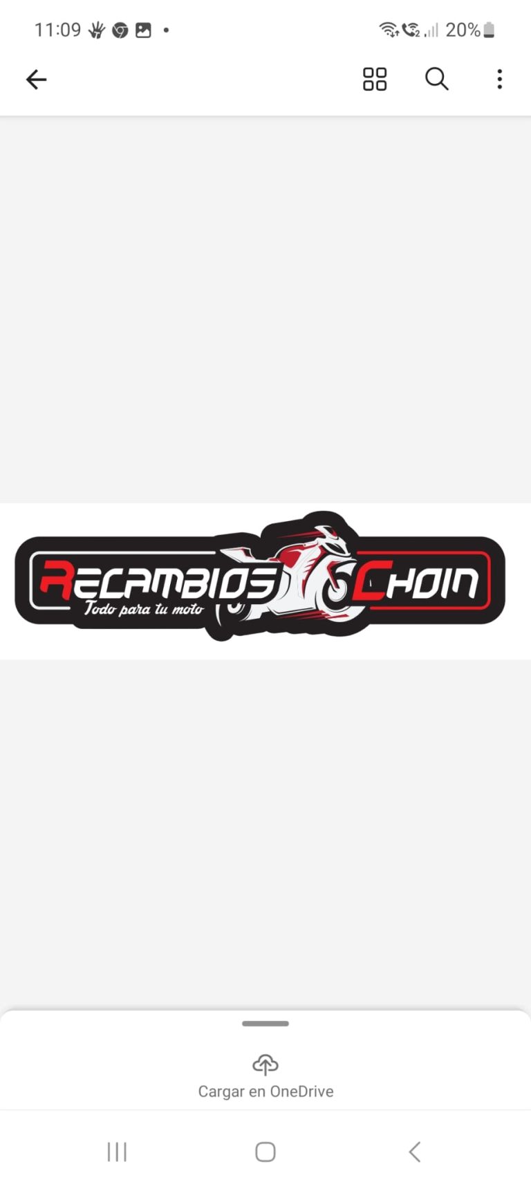 LOGO RECAMBIOS CHOIN 768x1708